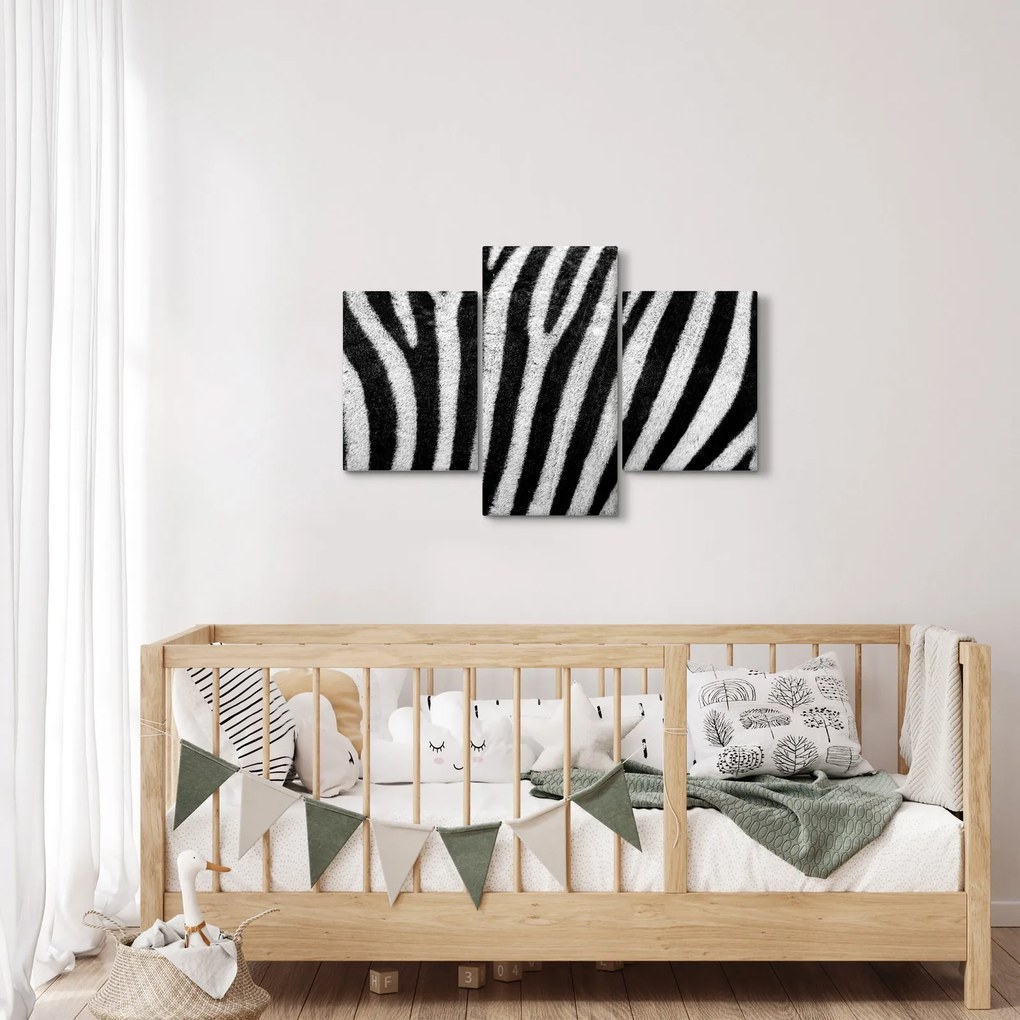 Tablou cu piele de zebră (90x60 cm)