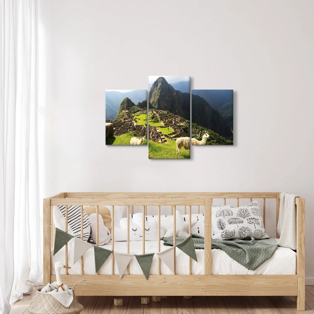 Tablou - Lame in Machu Picchu (90x60 cm)