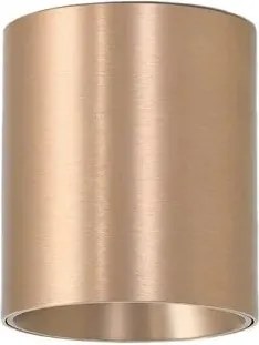 Spot aplicat bronz LED BABIL 10W CCT