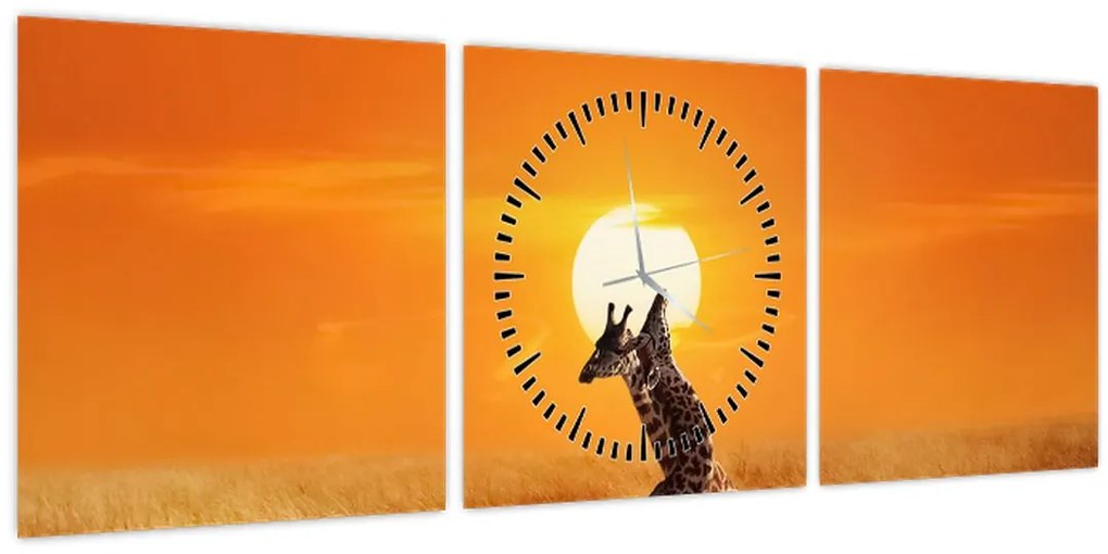 Tablou - Girafe în Parcul Național Serengeti (cu ceas) (90x30 cm)
