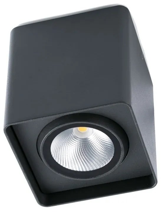 Spot aplicat / Plafoniera LED de exterior moderna IP54 TAMI gri inchis