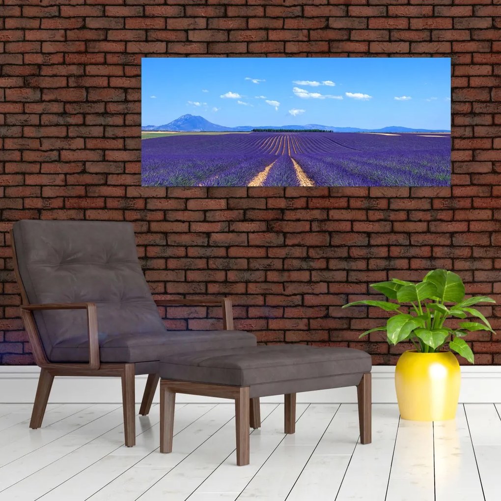 Tablou - Câmp de lavandă (120x50 cm)