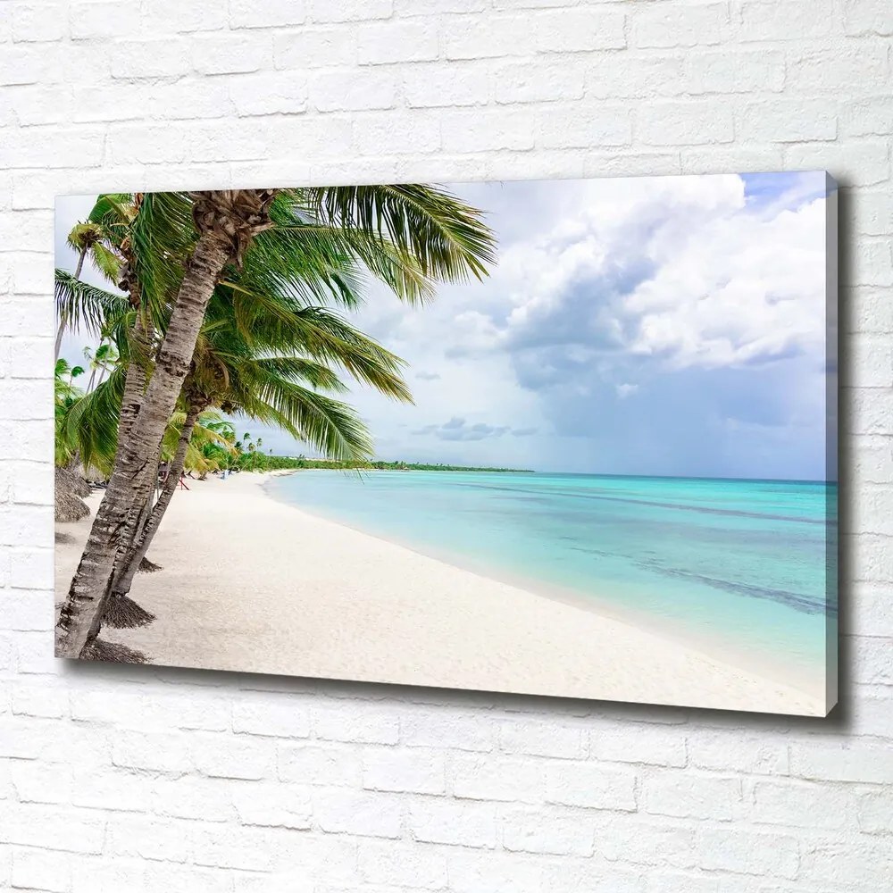 Print pe pânză Plaja tropicala