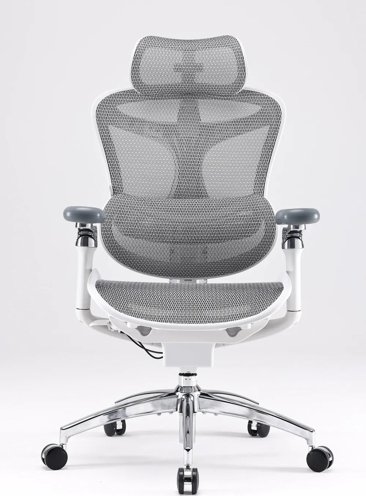 Scaun Ergonomic SIHOO Doro C300 Pro M102, Suport Lombar Adaptiv Inteligent, Spătar Reglabil pe Înălțime, Tetieră 3D, Cotiere 6D PU, Șezut Glisant, Reclinare 135°, Mesh, Gri