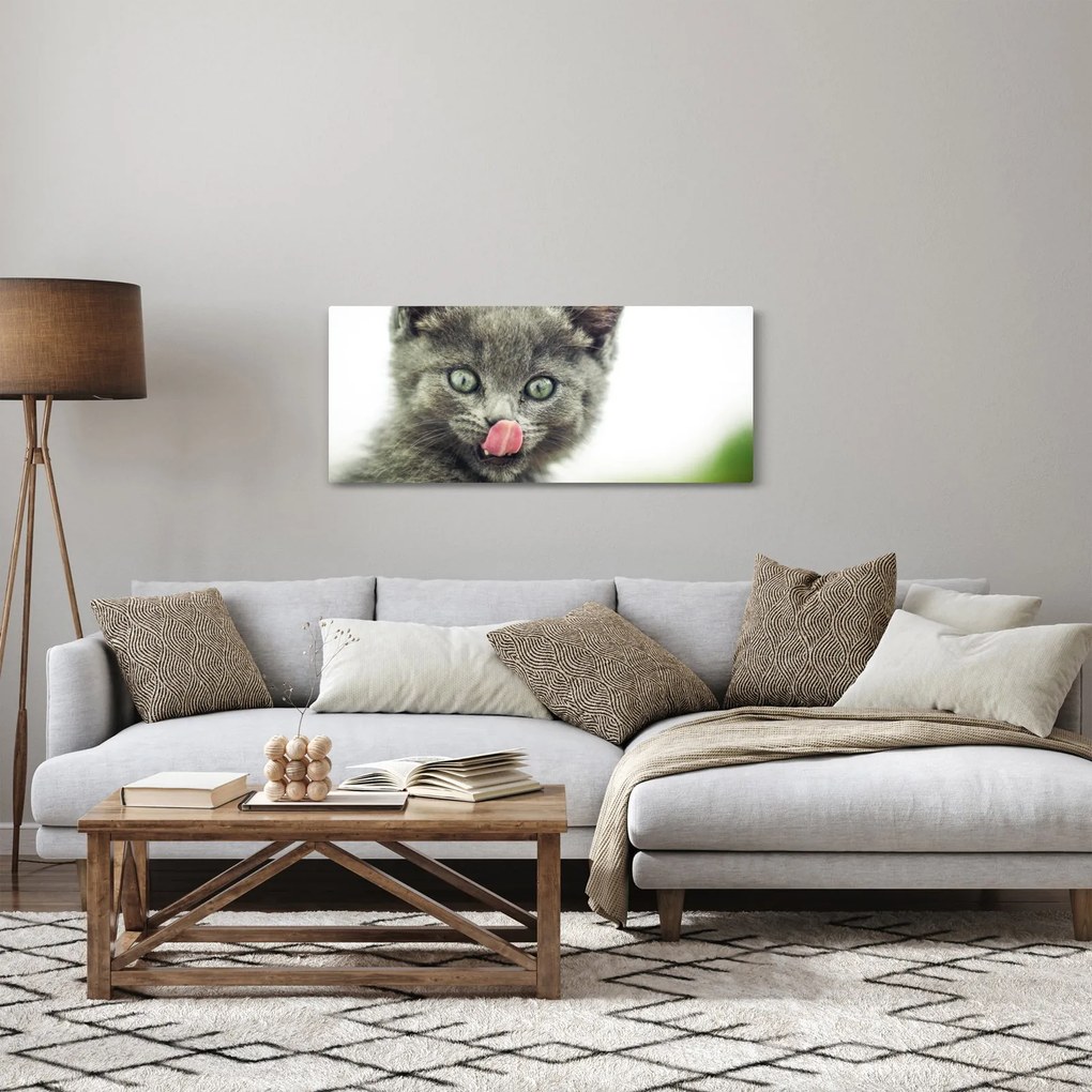 Tablou cu pisicuța lingându-se (120x50 cm)