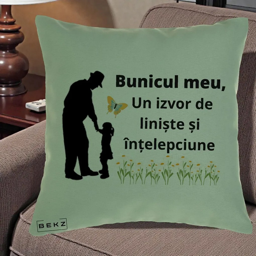 Cadou pentru Bunic - Perna Personalizata Bunicul Meu Izvor de Liniste cu Fluture si Fetita, 40x40 cm, Verde, Husa Detasabila, Perna Inclusa, BEKZ®
