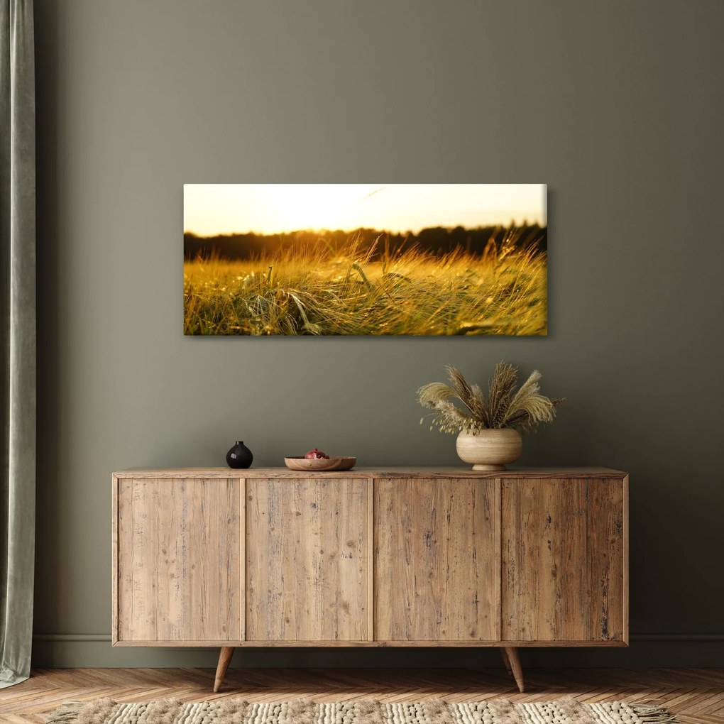 Tablou iarba cu rouă (120x50 cm)