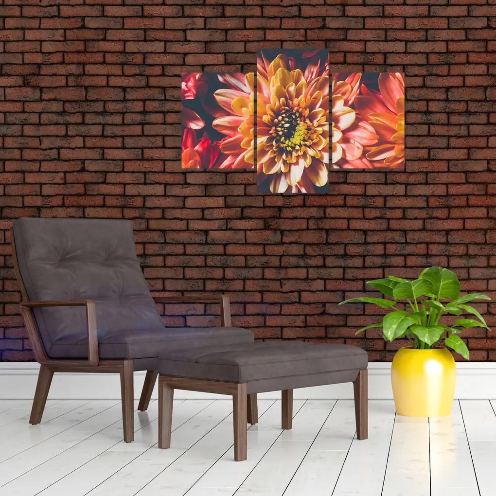 Tablou - Crizantemă (90x60 cm)