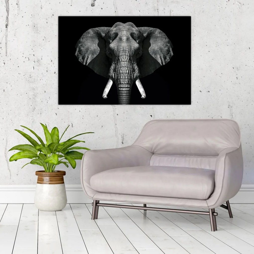 Tablou - Elefant pe fundal negru (90x60 cm)
