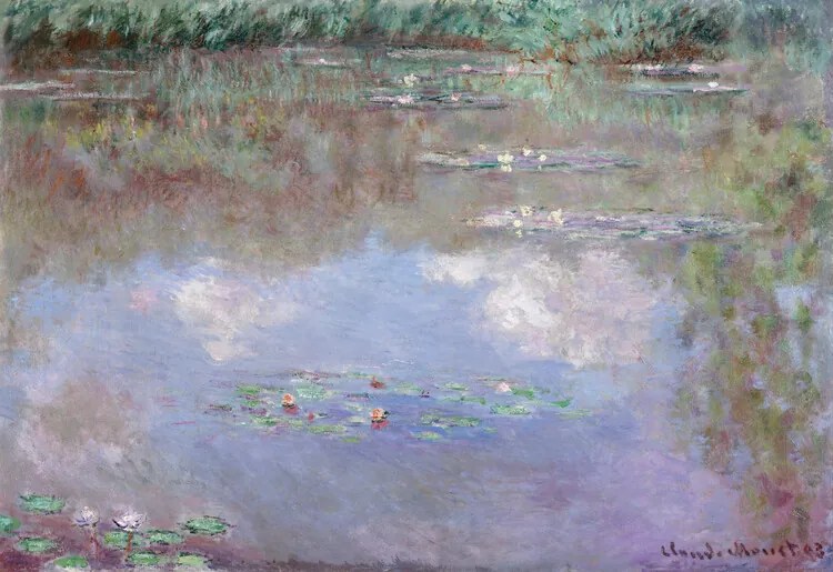 Reproducere Waterlilies (1910), Claude Monet