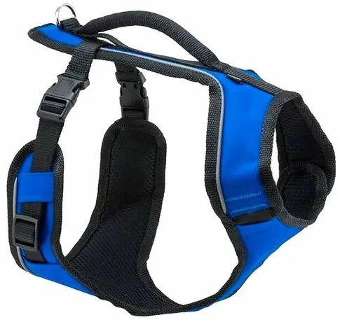 PetSafe Hamă EasySport albastru L