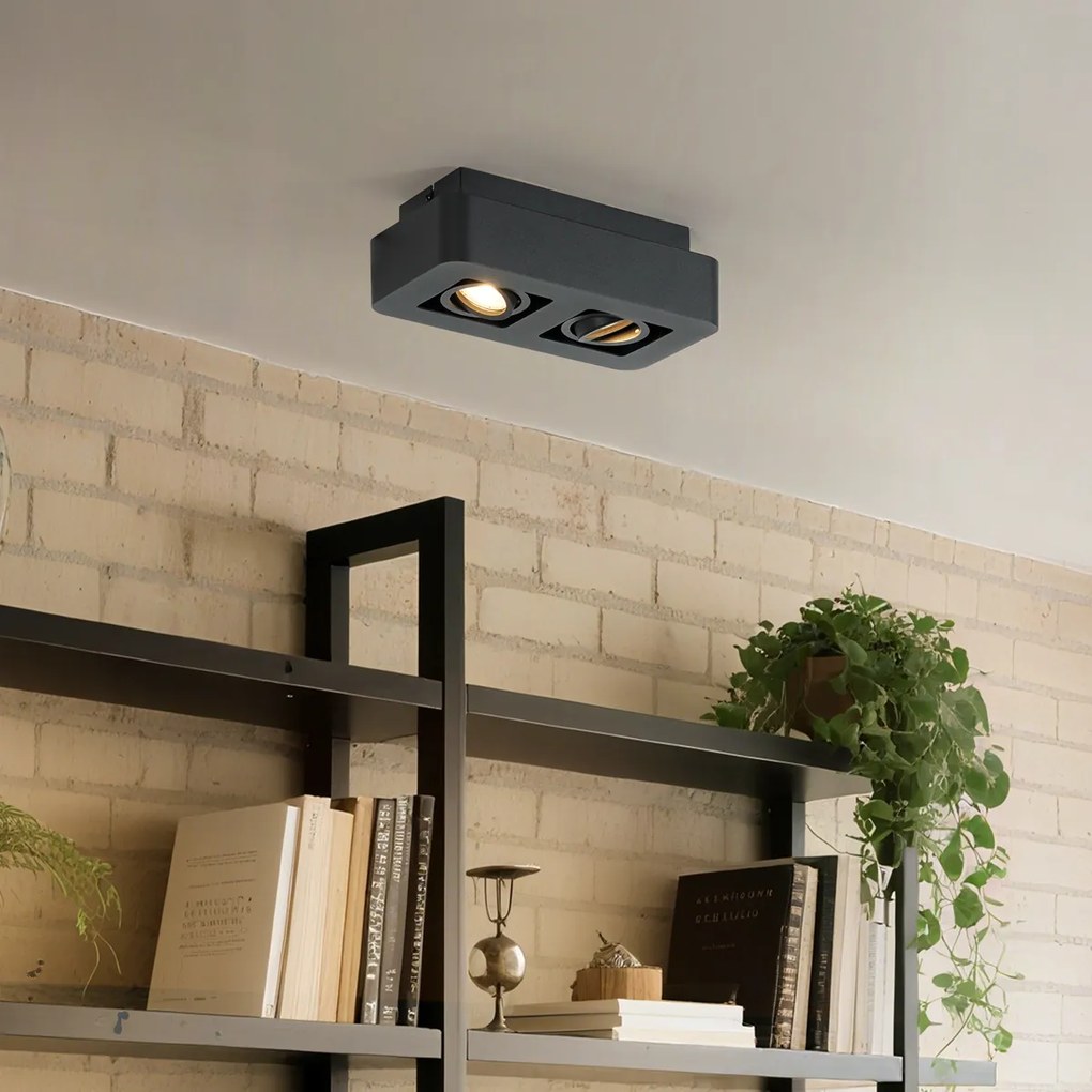 Spot rotund negru montat la suprafață cu 2 lumini, rotativ și înclinabil - Dox