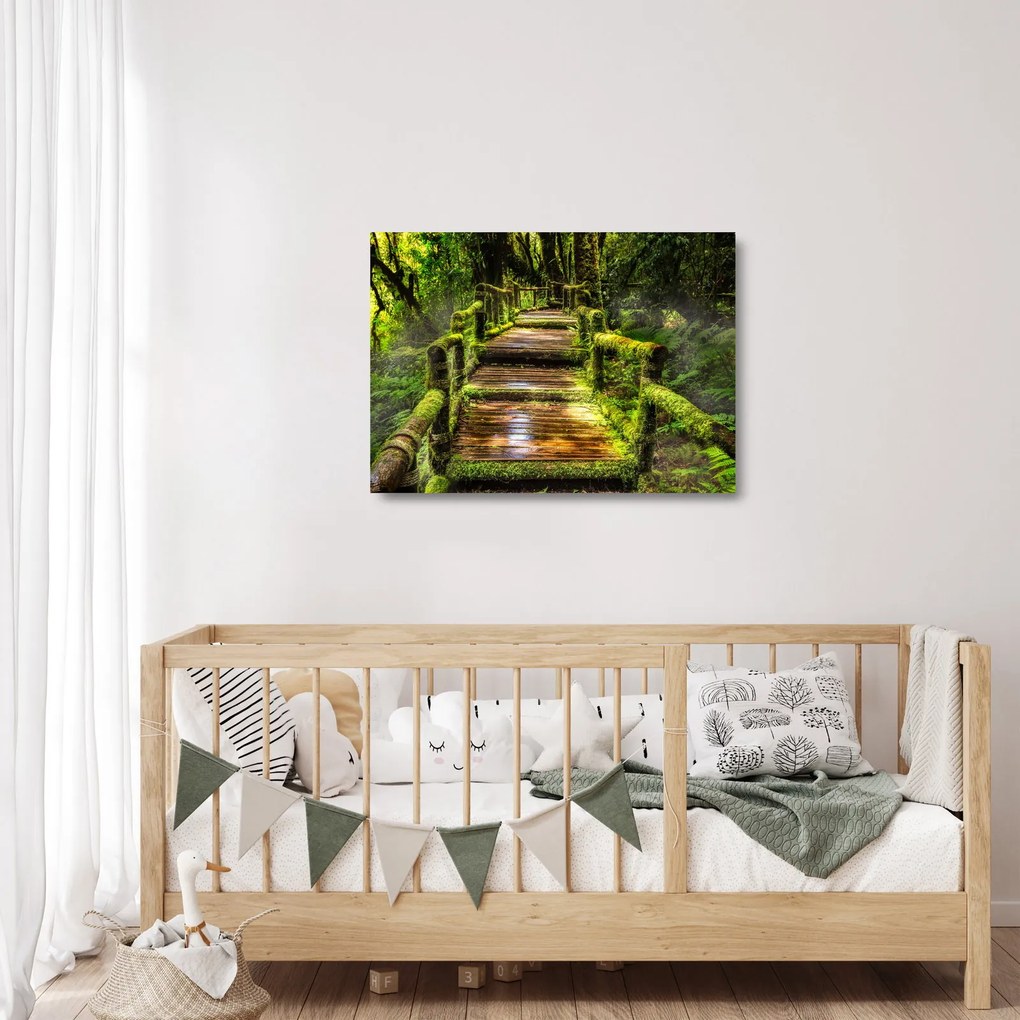 Tablou pe sticlă cu scări într-o pădure tropicală (70x50 cm)