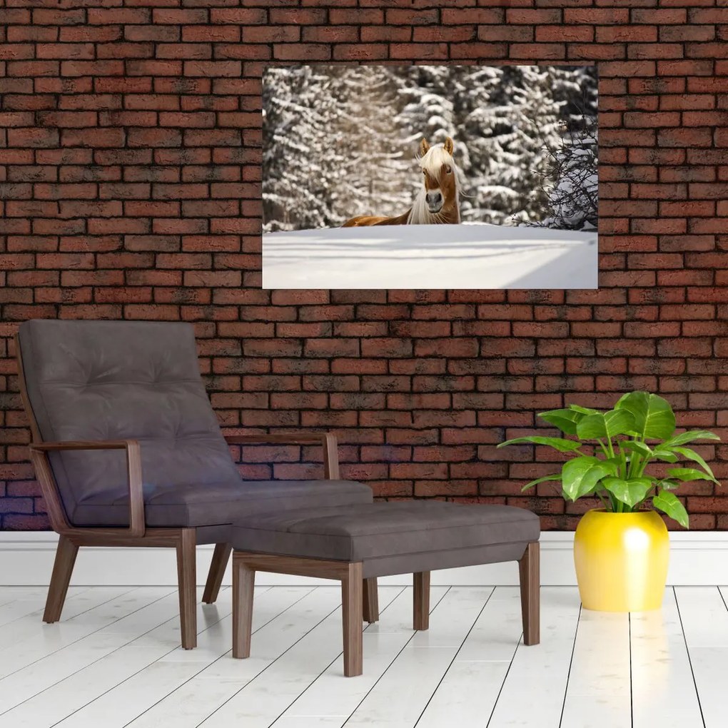 Tablou - Cal în peisaj de iarnă (90x60 cm)