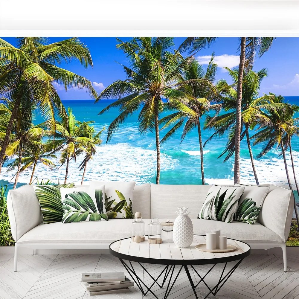Fototapet Palm Beach Copaci