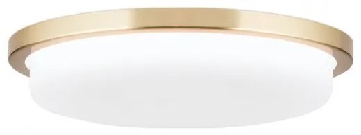 Plafoniera LED moderna LEROX 30cm alama mat