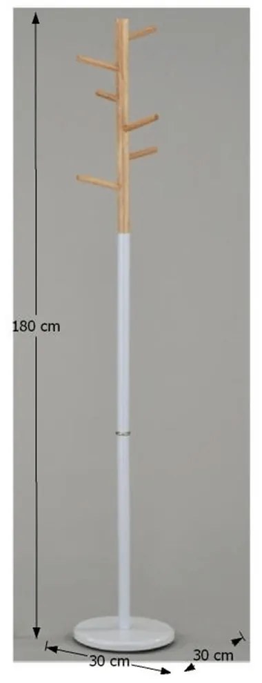 Cuier Hotyr. 808215