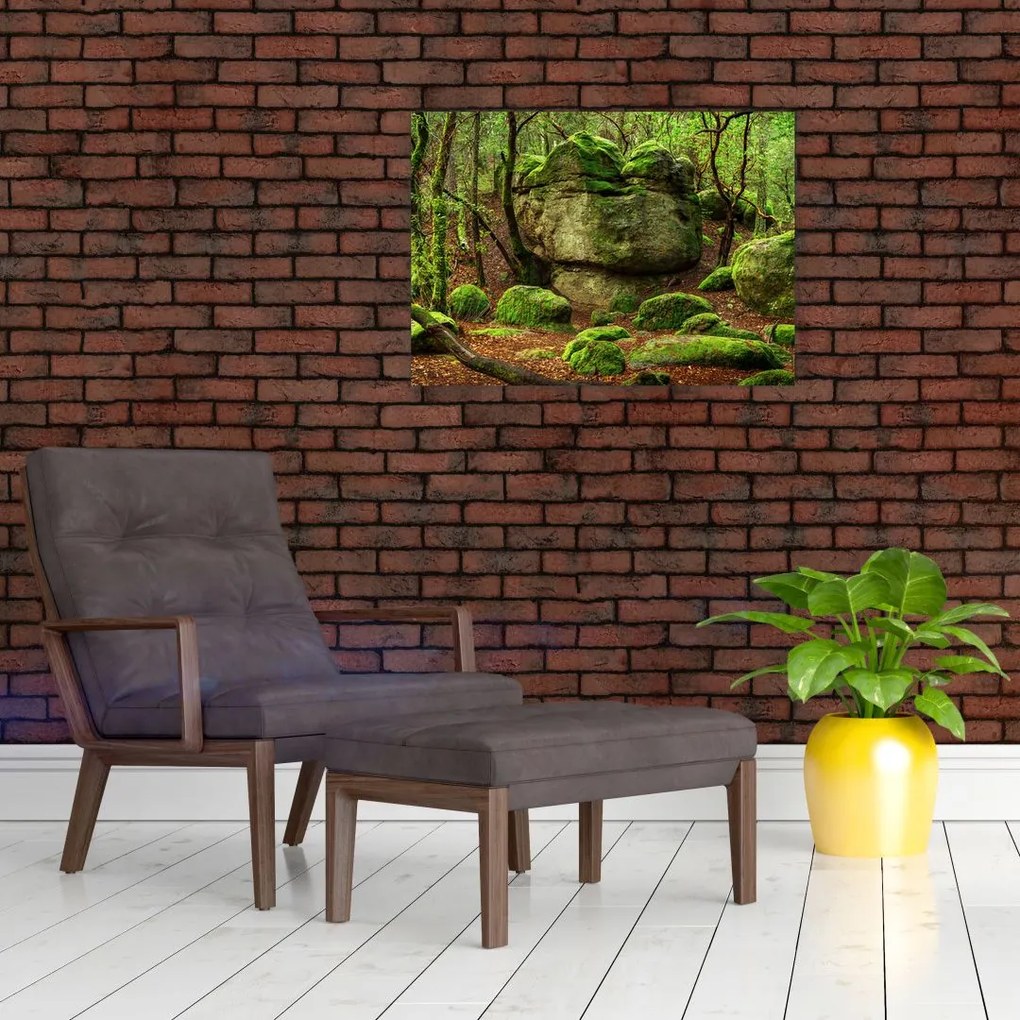 Tablou pe sticlă cu pădurea fermecată (70x50 cm)
