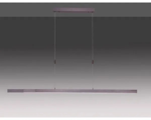 Lustră LED dimabilă pe cablu Paul Neuhaus 2568-24 ADRIANA LED/14W/230V