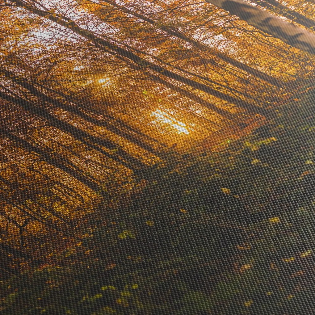 Tablou - Pădurea toamna (120x50 cm)