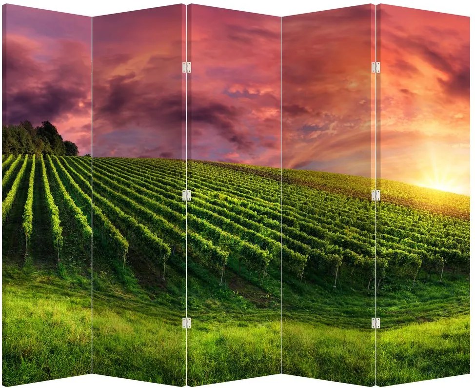Paravan - Vie cu cerul color (210x170 cm)