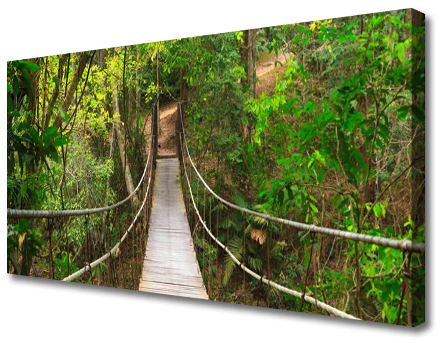 Tablou pe panza canvas Podul Natural Pădurea Verde Maro