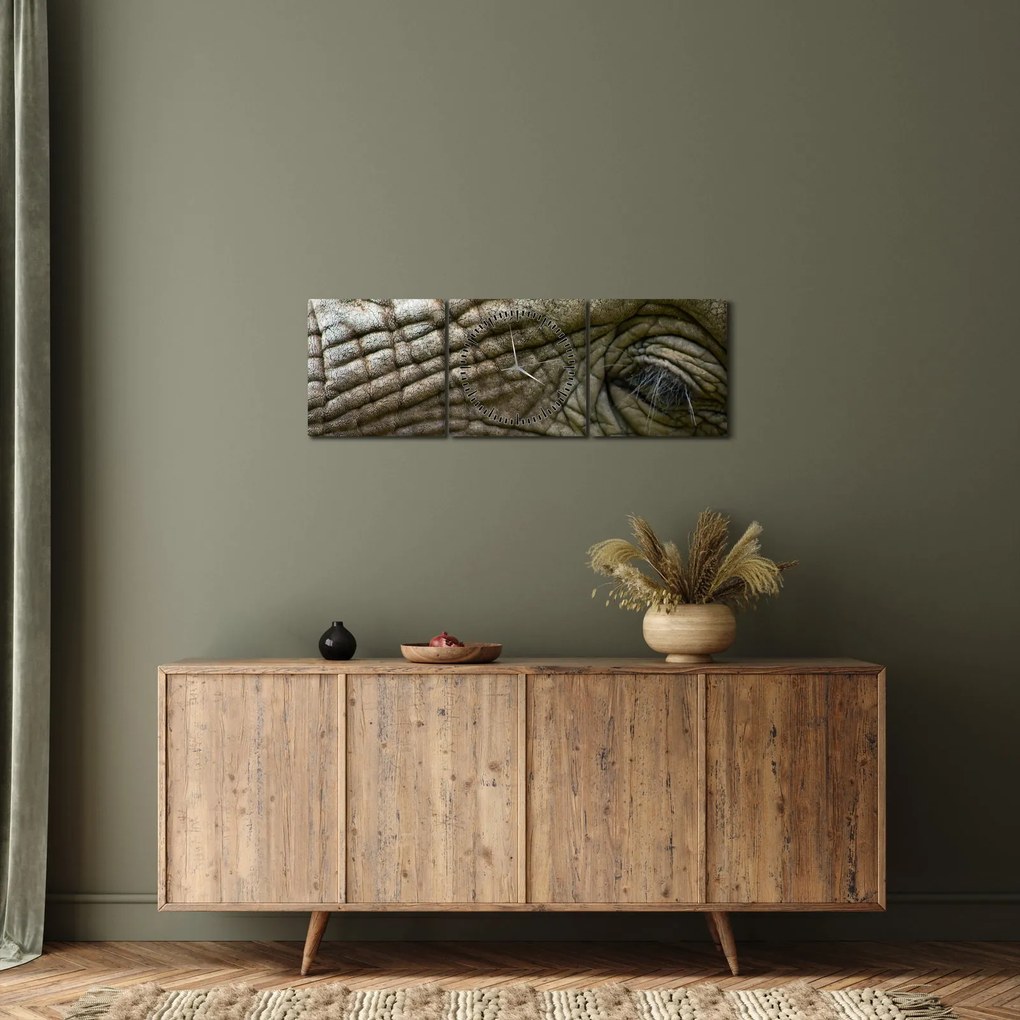Tablou - Prim-planul ochiului de elefant vechi (cu ceas) (90x30 cm)