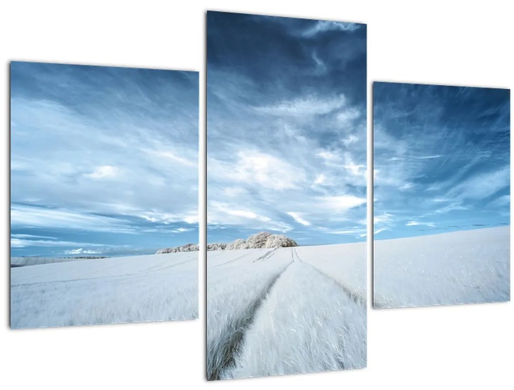 Tablou - Câmp (90x60 cm)