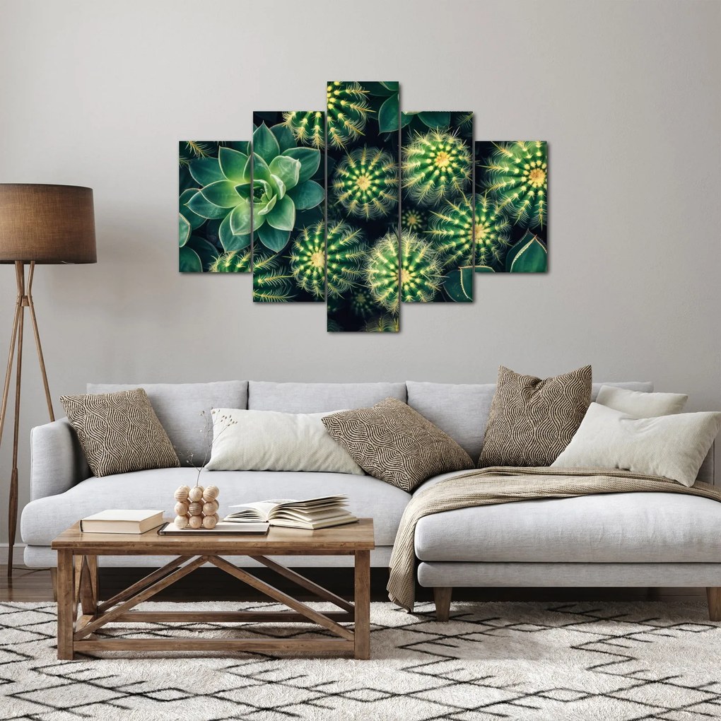 Tablou - Cactuși (150x105 cm)