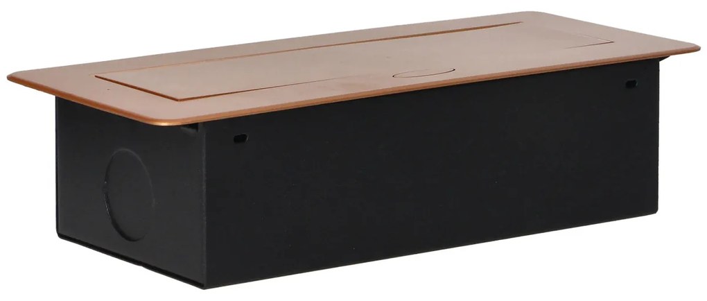 Priza incastrabila dreptunghiulara, 2 prize scuko + 2 USB 5V 2.1A, fara cablu, auriu, Orno