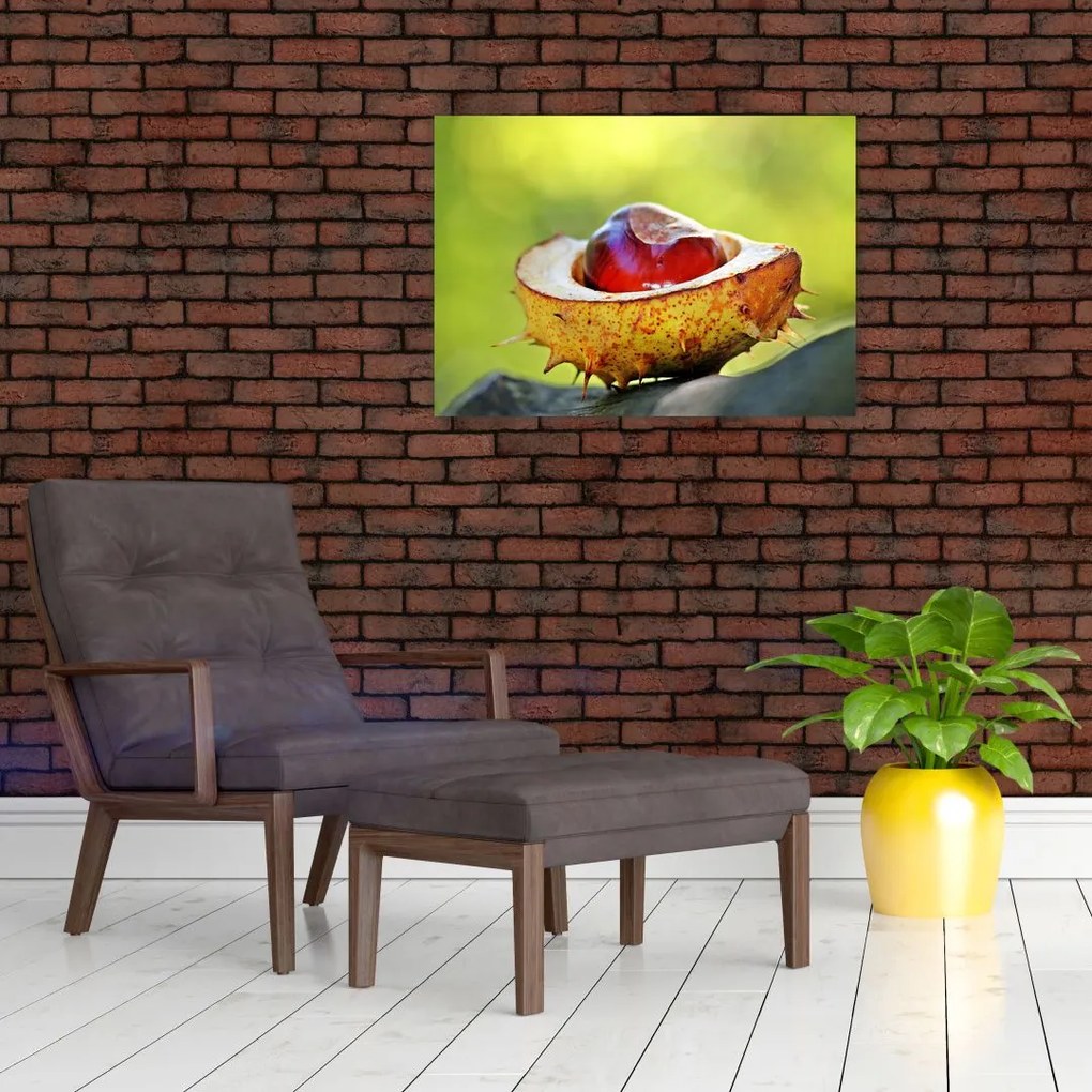 Tablou pe sticlă cu castani (70x50 cm)