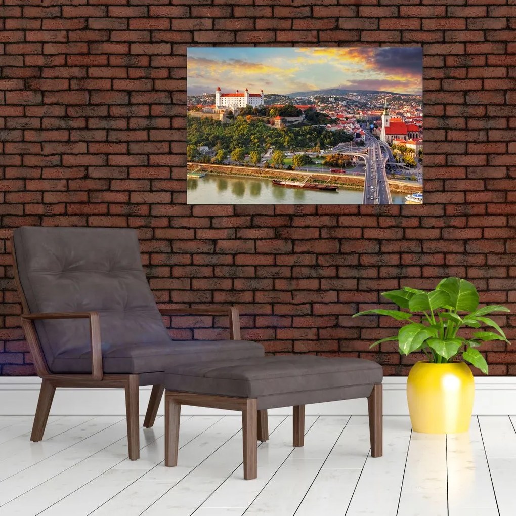 Tablou - Panorama bratislavei, Slovacia (90x60 cm)