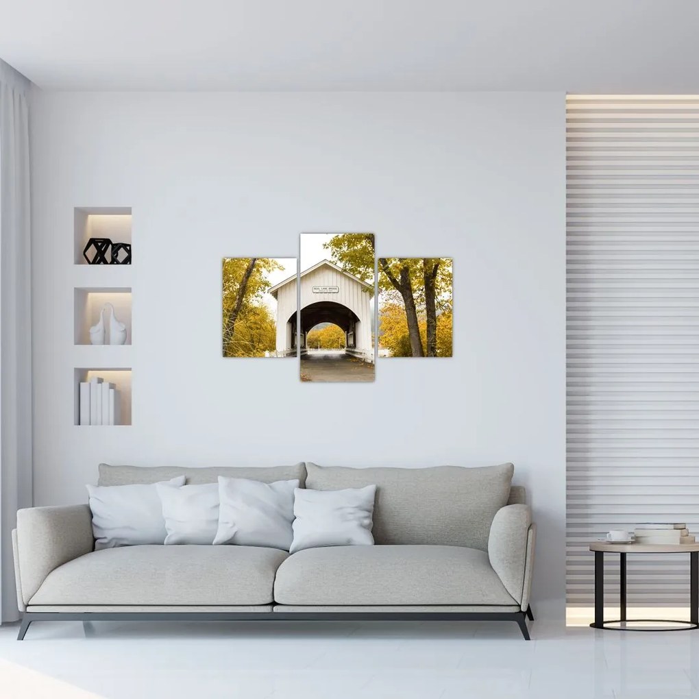 Tablou cu podul în Oregon (90x60 cm)