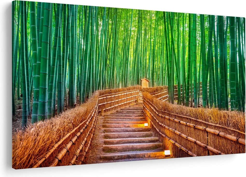 Tablou - Pădure de bambus japoneză (90x60 cm)