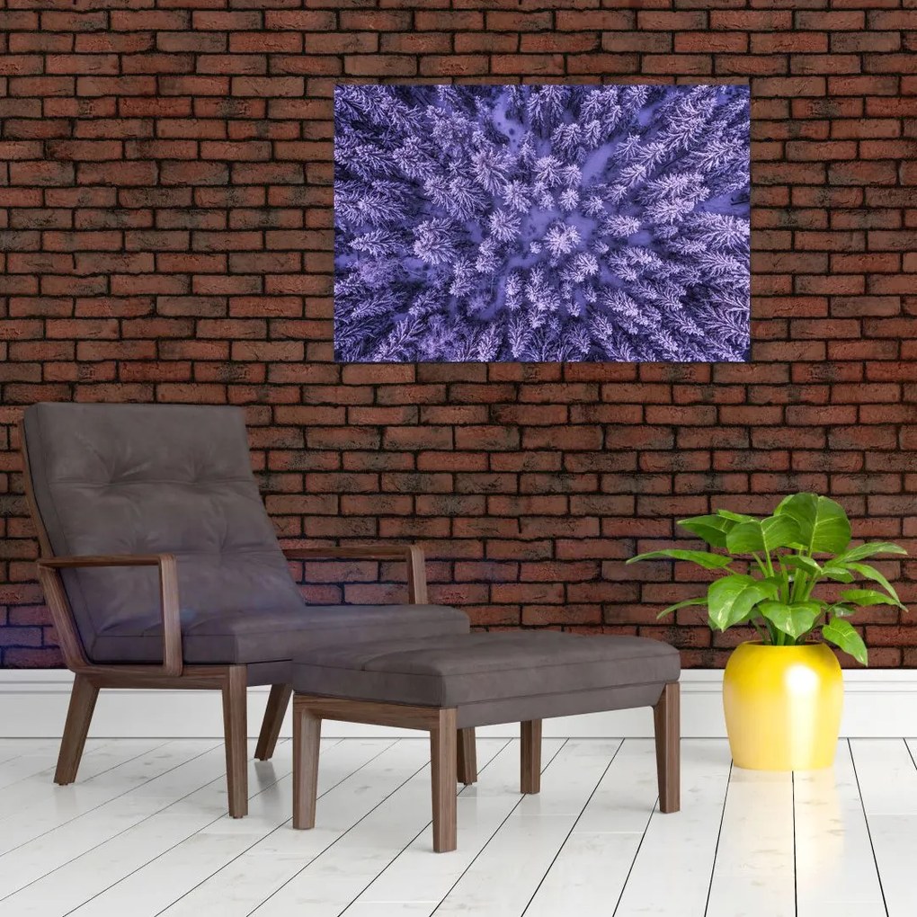 Tablou cu copacii înzăpeziți (90x60 cm)