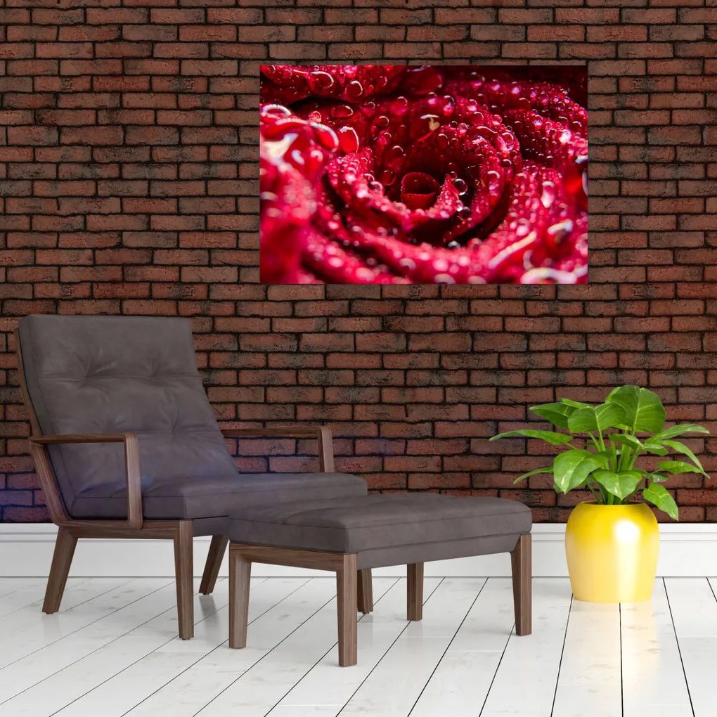 Tablou cu floarea trandafirului roșu (90x60 cm)