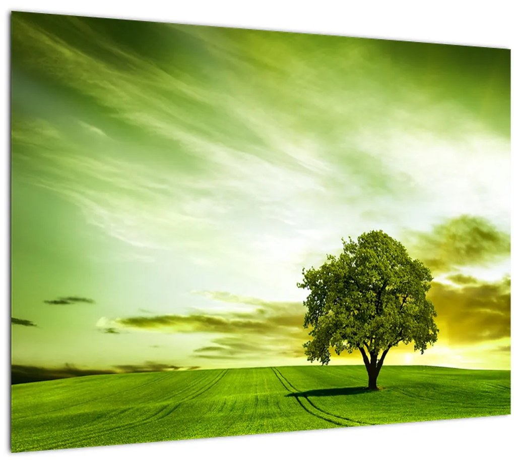 Tablou pe sticlă - Copacul vieții (70x50 cm)