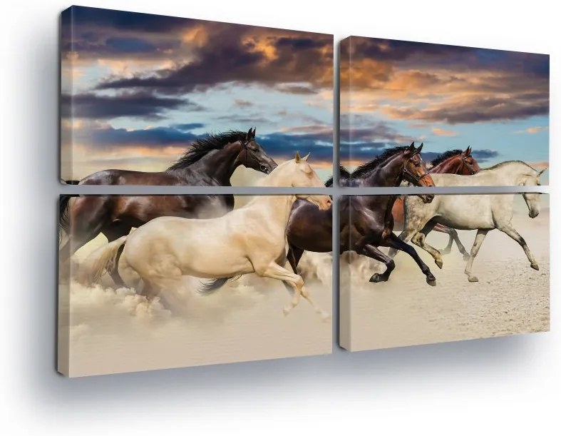 GLIX Tablou - Horse Hero 4 x 60x40 cm