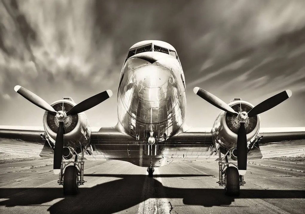 Fototapet - Avion (254x184 cm)