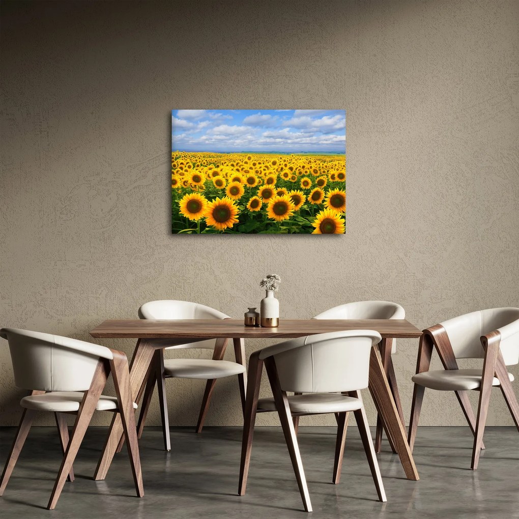 Tablou cu lan de floarea soarelui (70x50 cm)