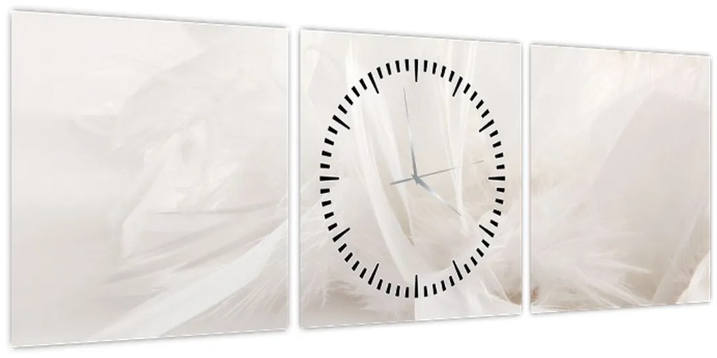 Tablou - Pană (cu ceas) (90x30 cm)