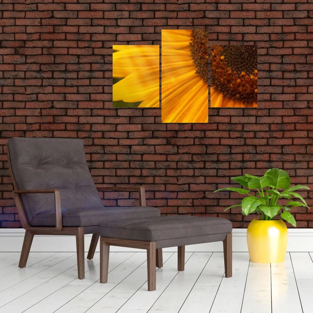 Tablou - Floarea-soarelui (90x60 cm)