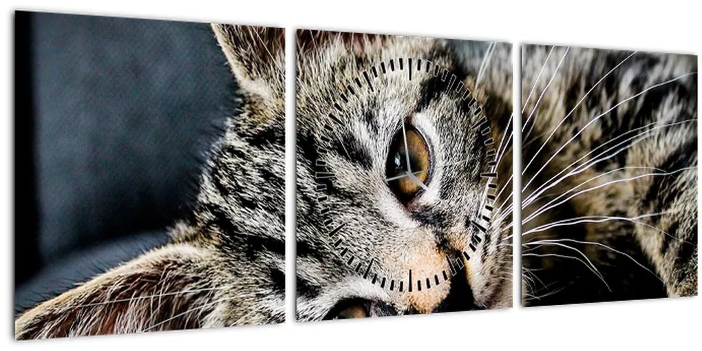 Tablou - Pisoi (cu ceas) (90x30 cm)