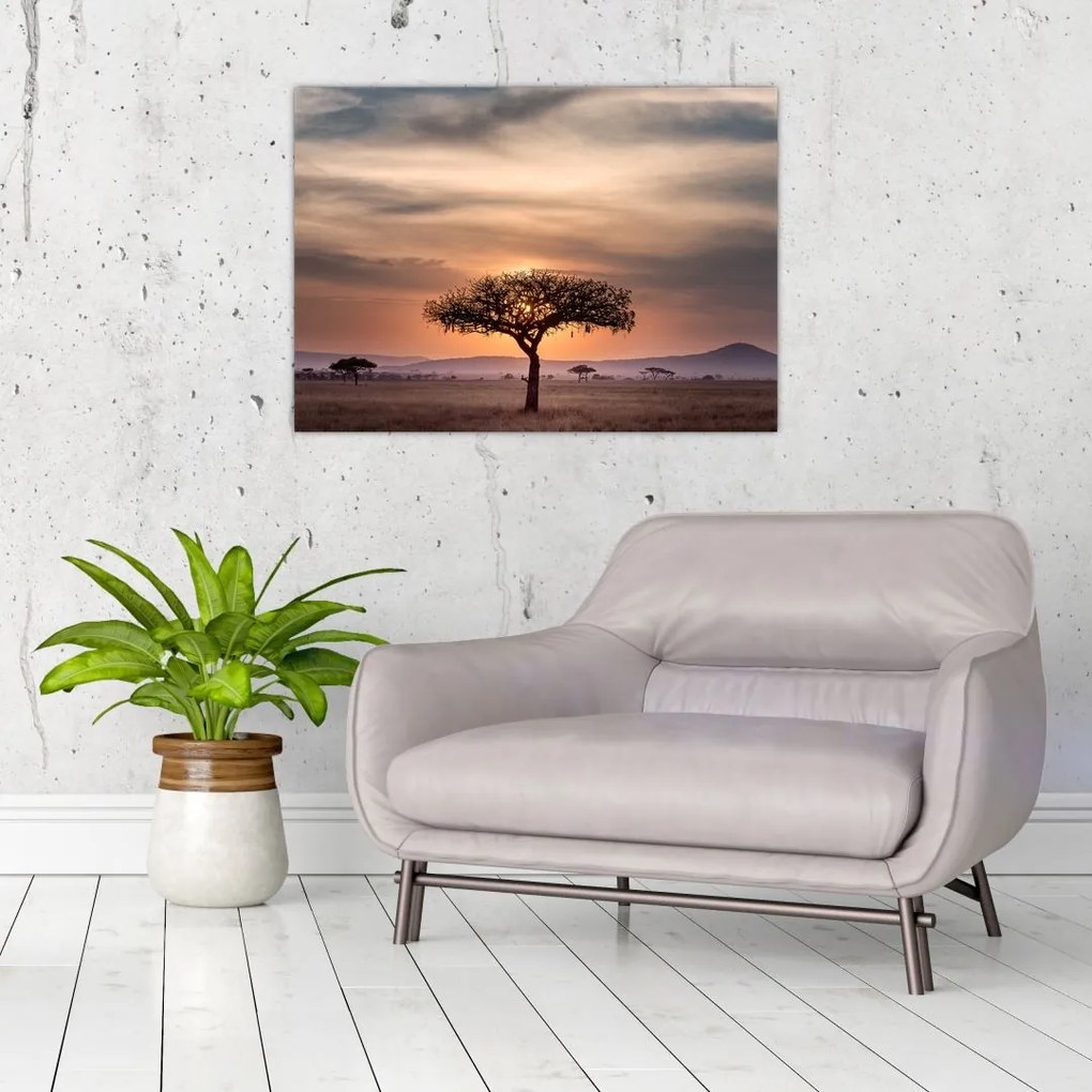 Tablou apusului de soare în Tanzania (70x50 cm)