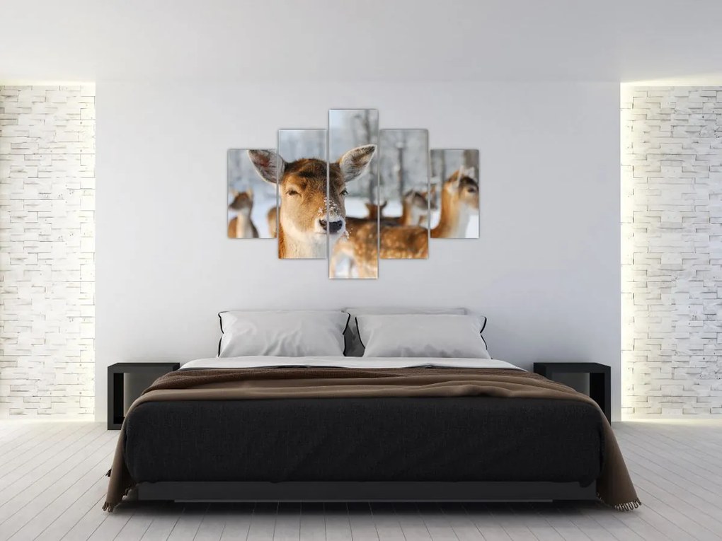 Tablou - Cerbi (150x105 cm)