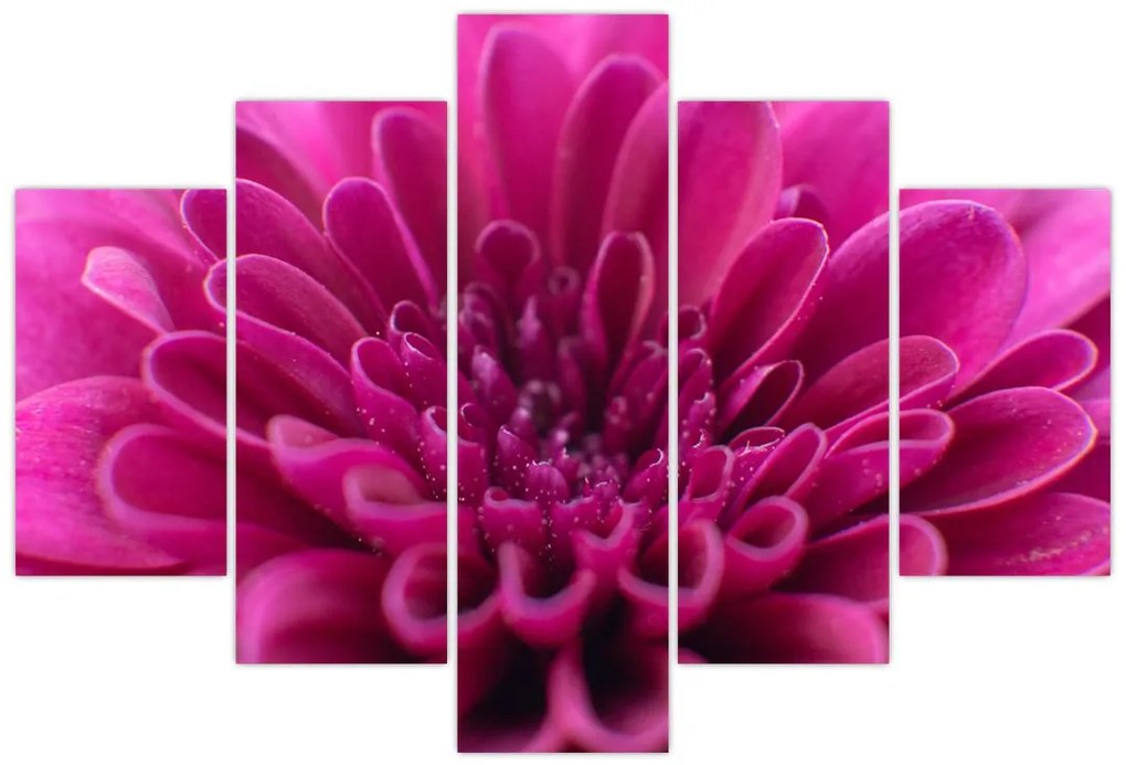 Tablou cu floare (150x105 cm)