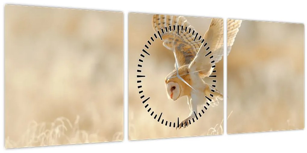 Tablou - Bufniță (cu ceas) (90x30 cm)