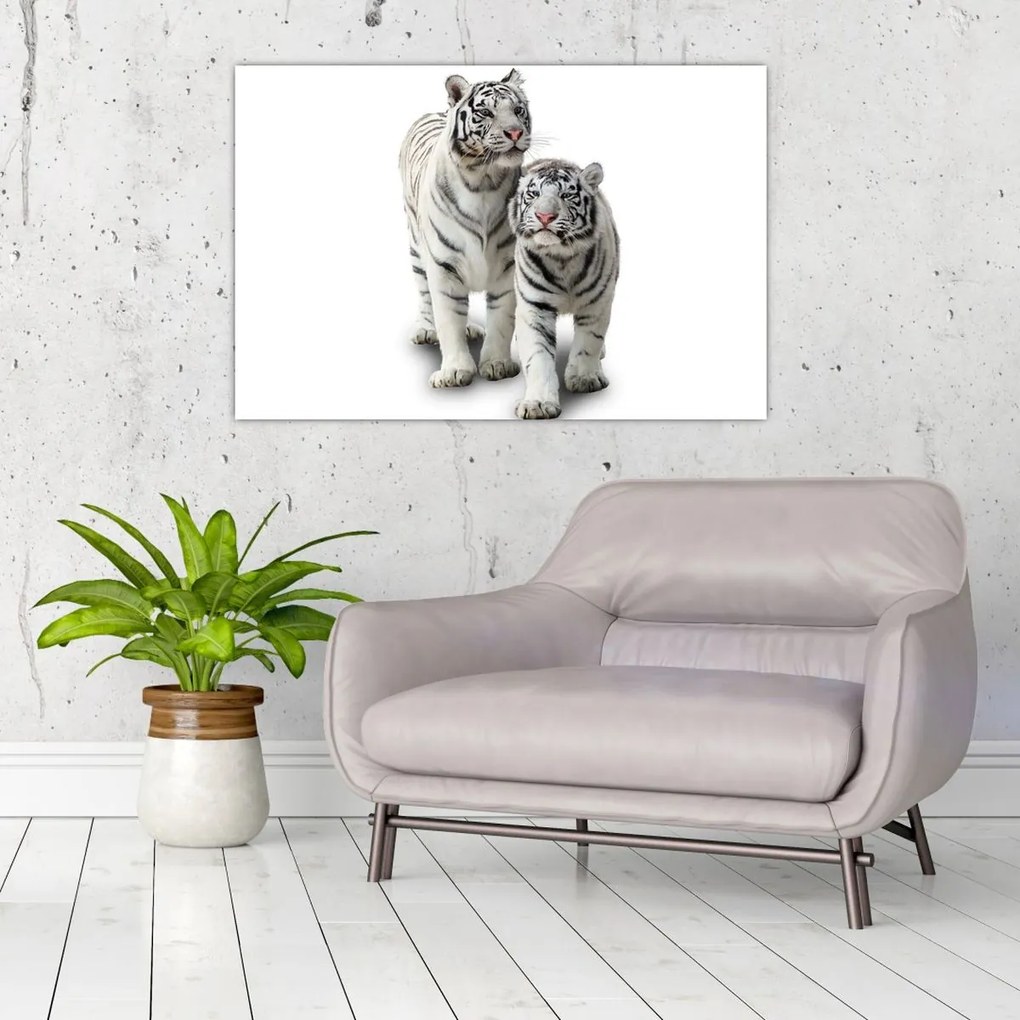 Tablou - Tigrul alb (90x60 cm)