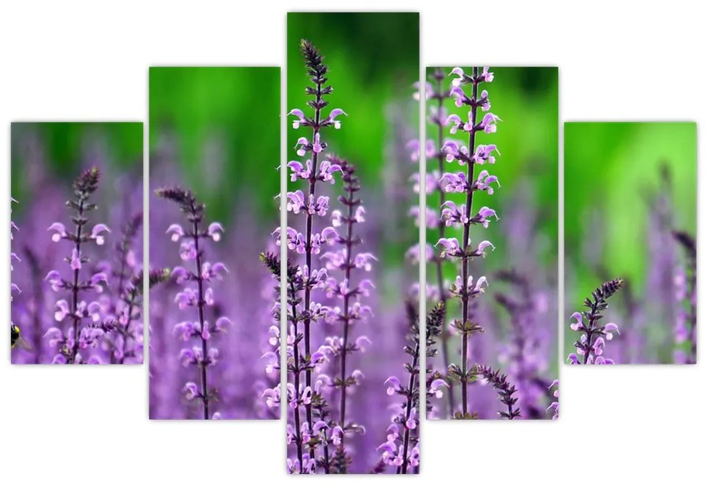 Tablou cu flori de luncă violete (150x105 cm)