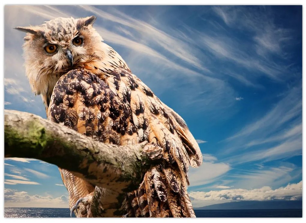 Tablou cu bufnița (70x50 cm)